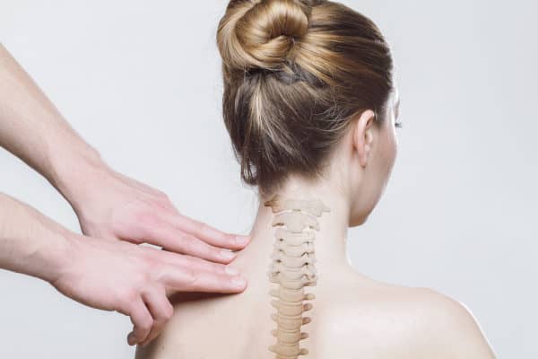 Back of the Neck Back of the Neck