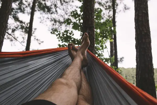 Backpacking Hammock in the Forest Backpacking Hammock in the Forest