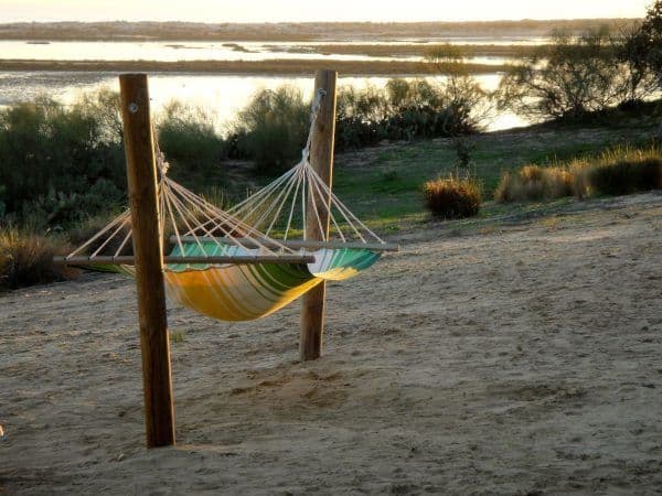 Backyard Hammocking