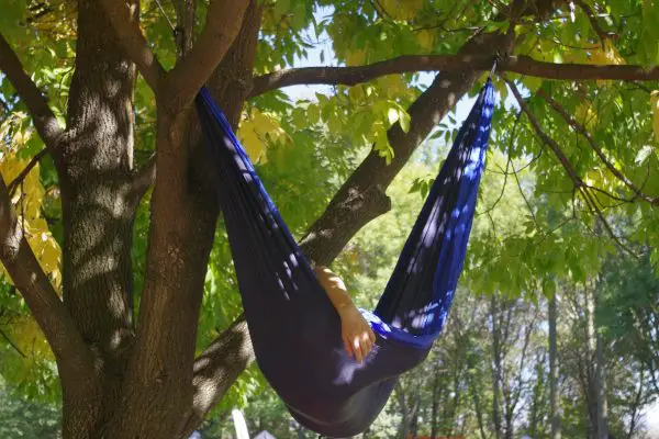 Blue Hammock Under the Tree Blue Hammock Under the Tree