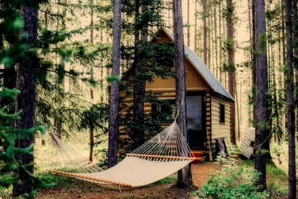 Cabin in the Woods Cabin in the Woods