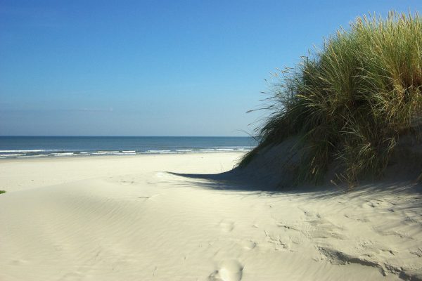 Empty Beach