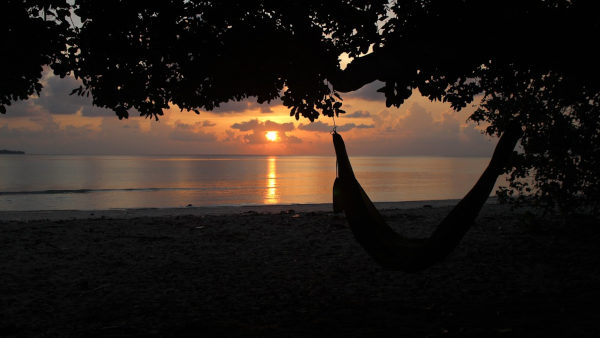 hammock at night