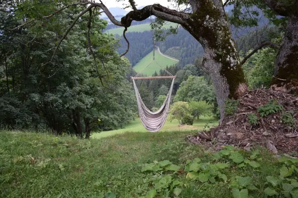 Hammock Chair Under the Tree