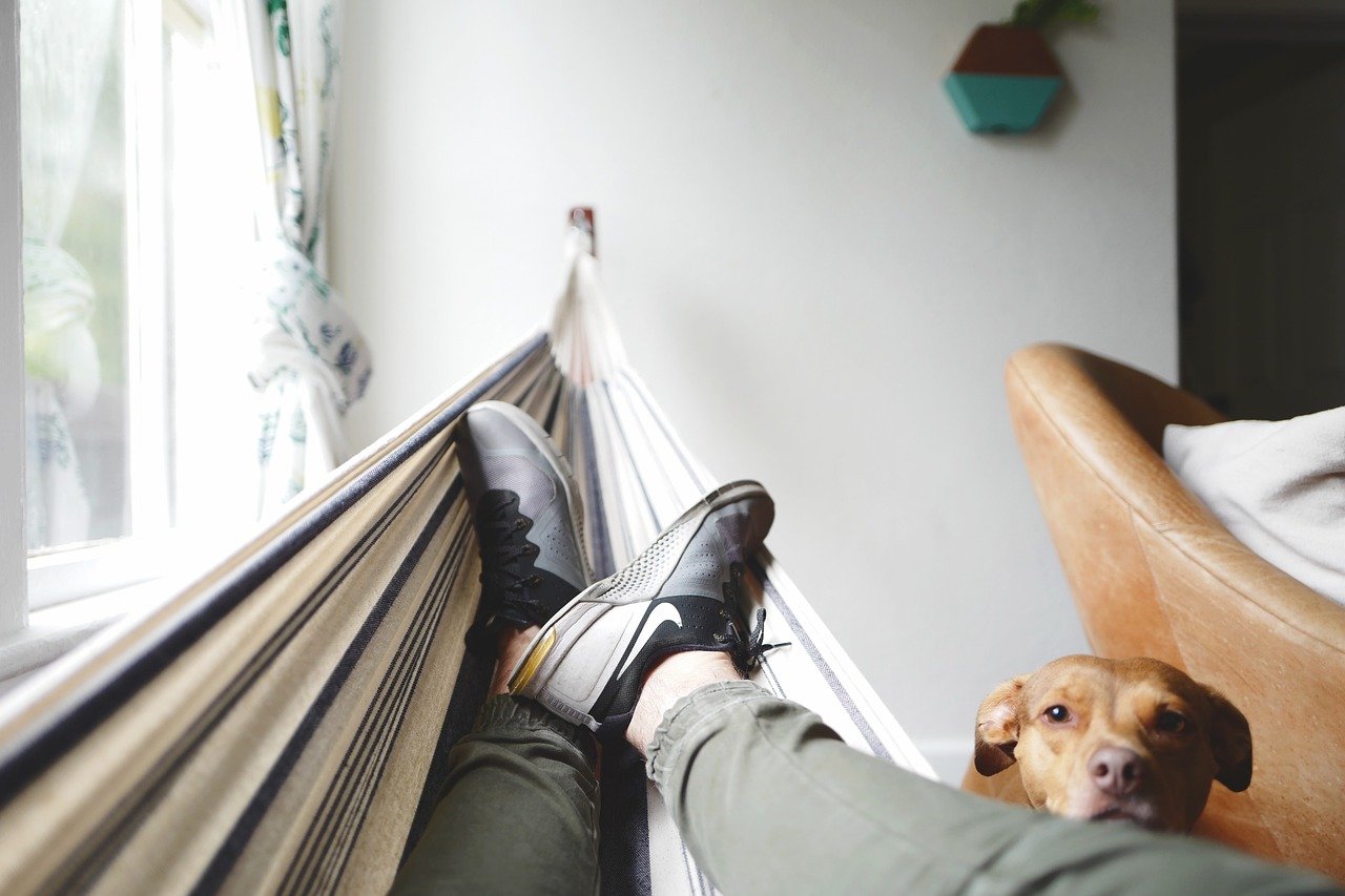 hammock in an apartment